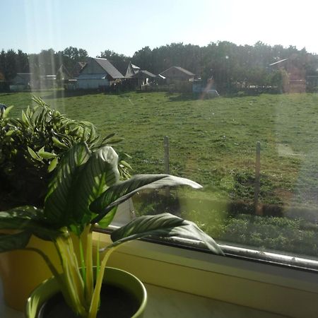 De Alpacaboerderij Lägenhet Bocholt Rum bild
