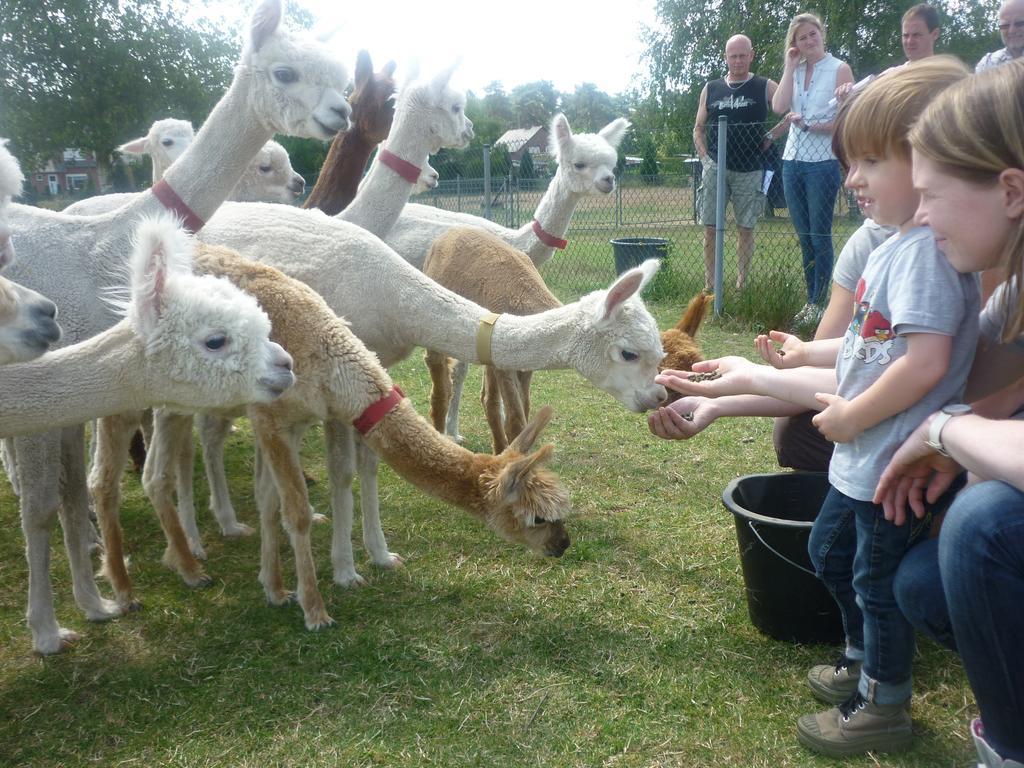 De Alpacaboerderij Lägenhet Bocholt Exteriör bild
