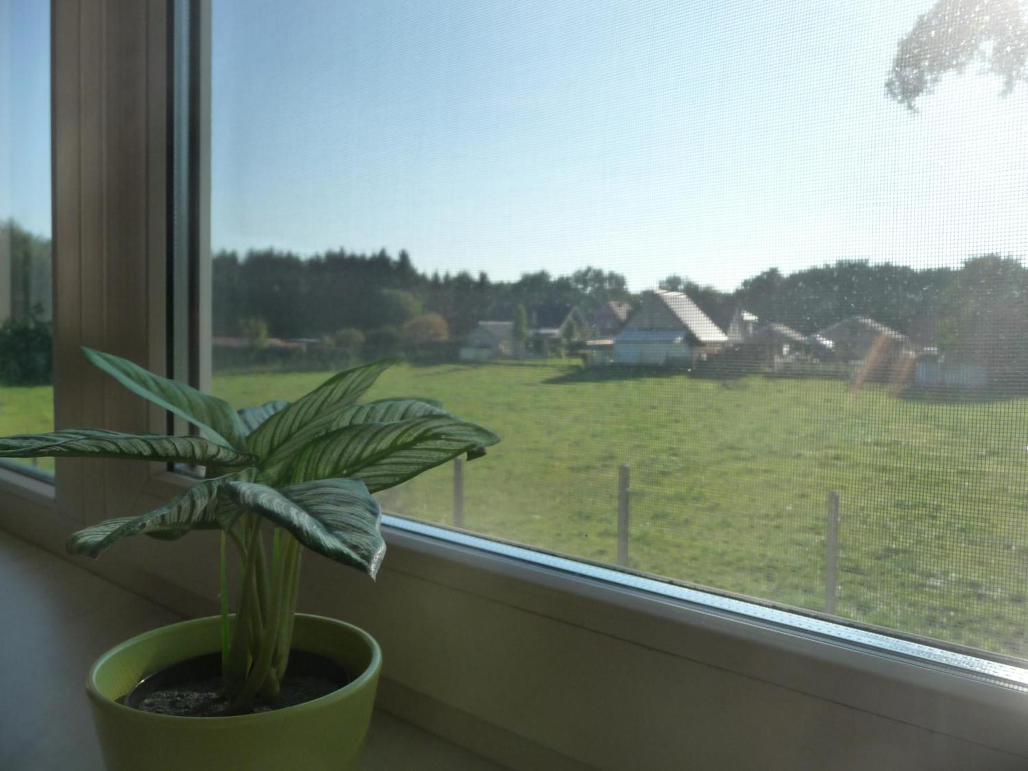 De Alpacaboerderij Lägenhet Bocholt Rum bild