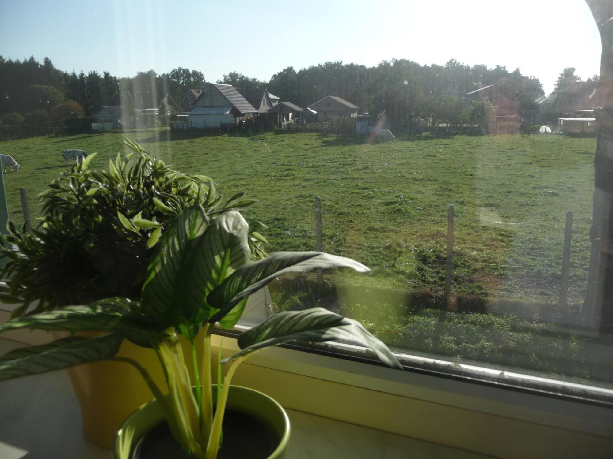 De Alpacaboerderij Lägenhet Bocholt Rum bild