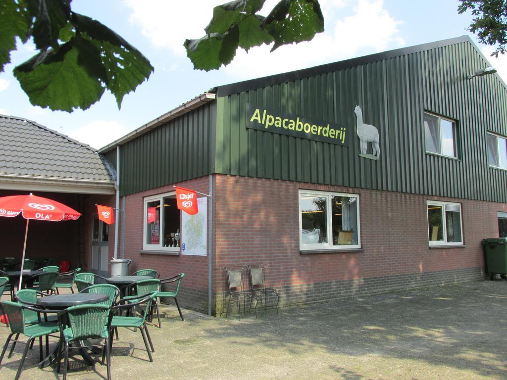 De Alpacaboerderij Lägenhet Bocholt Exteriör bild